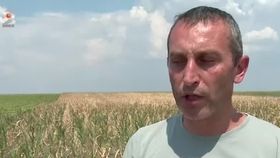 VIDEO Culturile de pe câmp s-au uscat complet din cauza secetei. Fermierii nu mai au speranțe